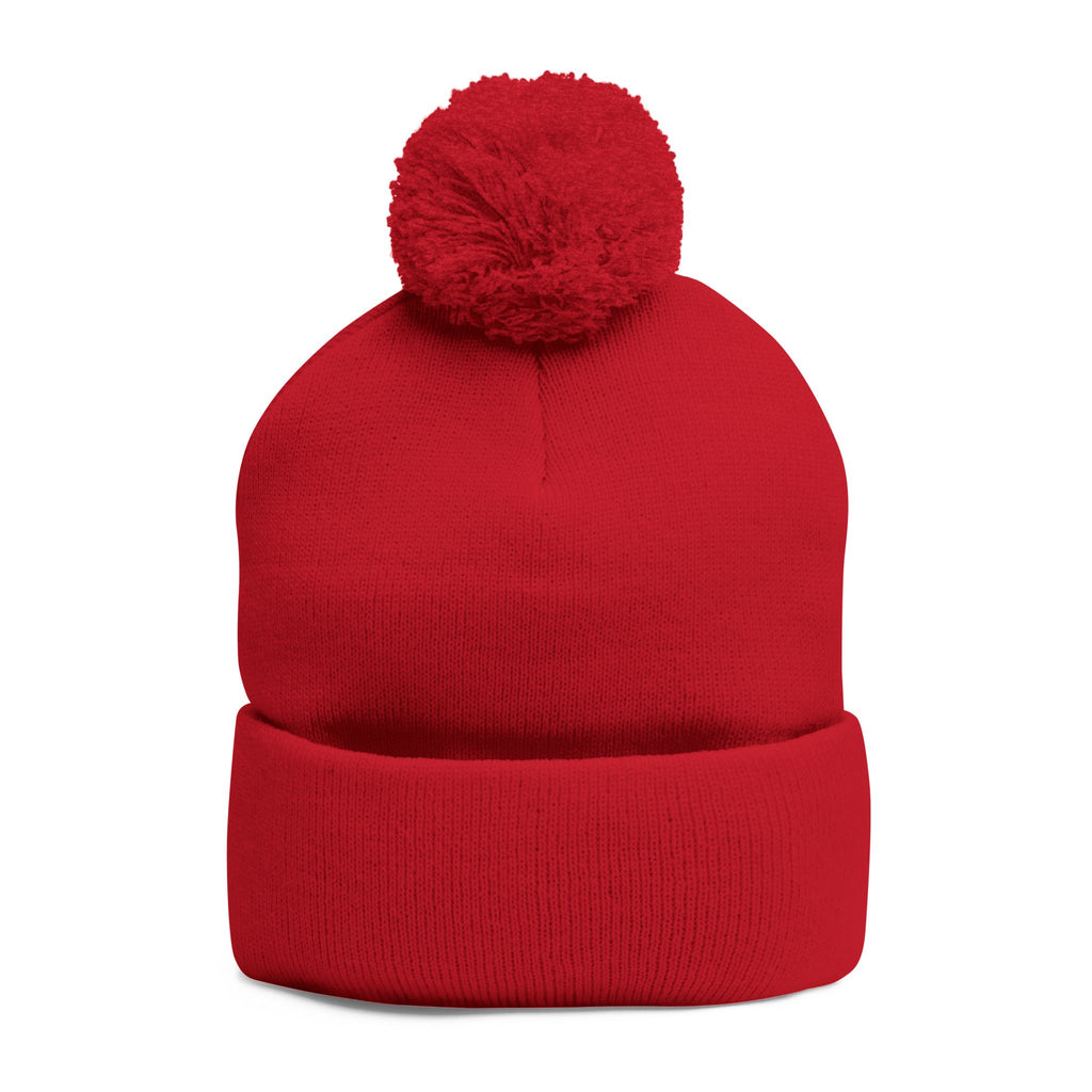 Embroidered Pom-Pom Beanie